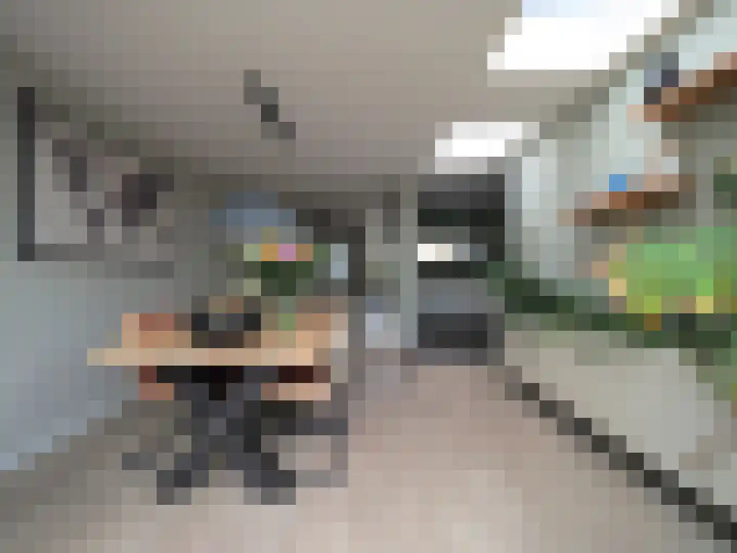 Walmolen 7 Papendrecht thumbnail 22