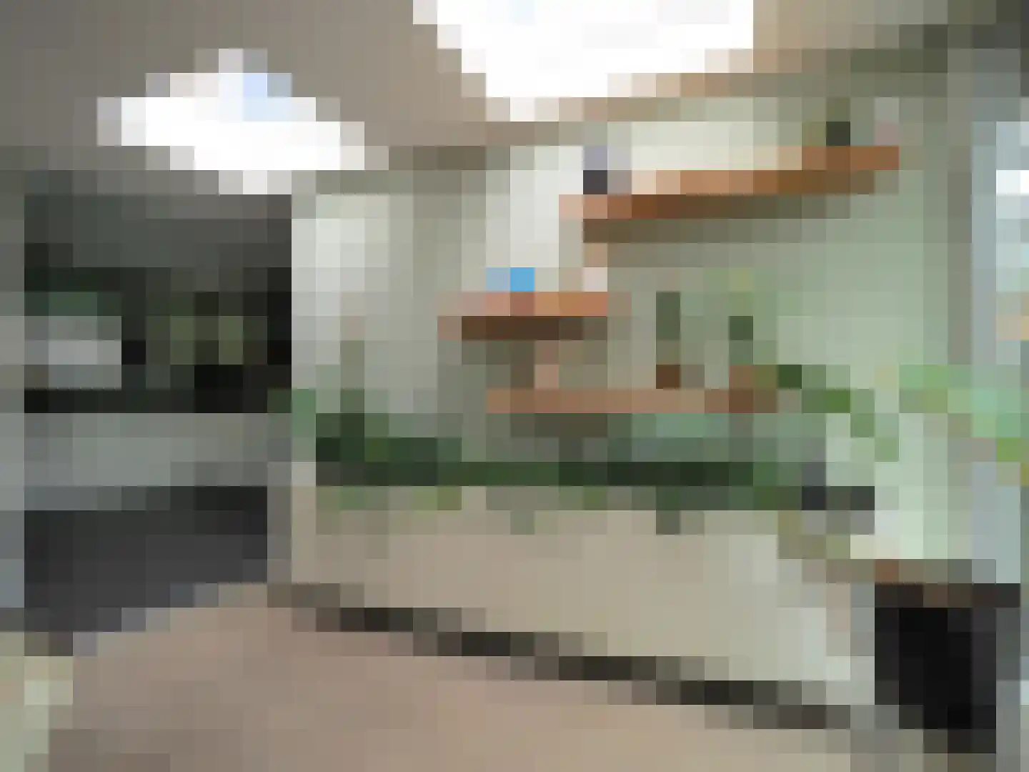 Walmolen 7 Papendrecht thumbnail 23