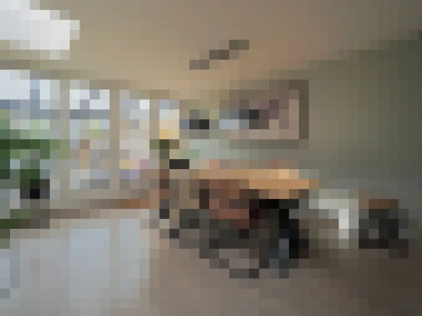 Walmolen 7 Papendrecht thumbnail 4