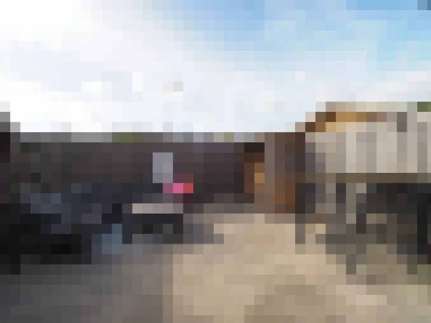 Walmolen 7 Papendrecht thumbnail 52