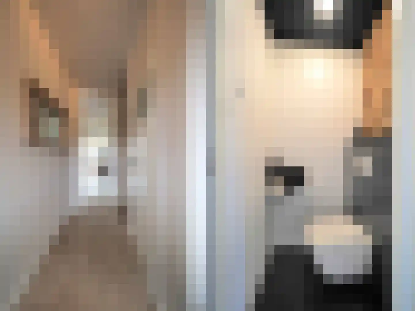 Walmolen 7 Papendrecht thumbnail 8