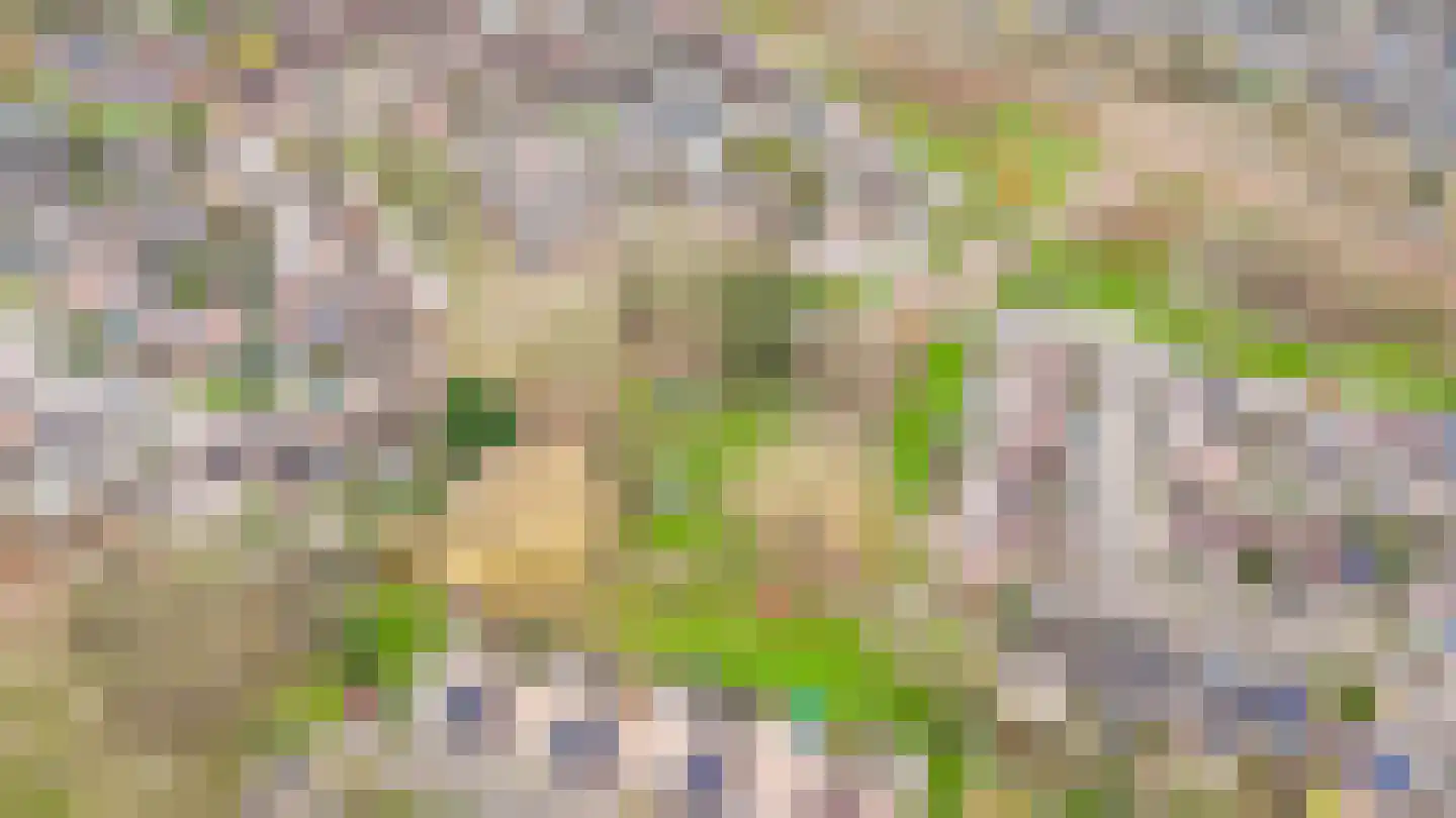 Walmolen 7 Vianen thumbnail 33