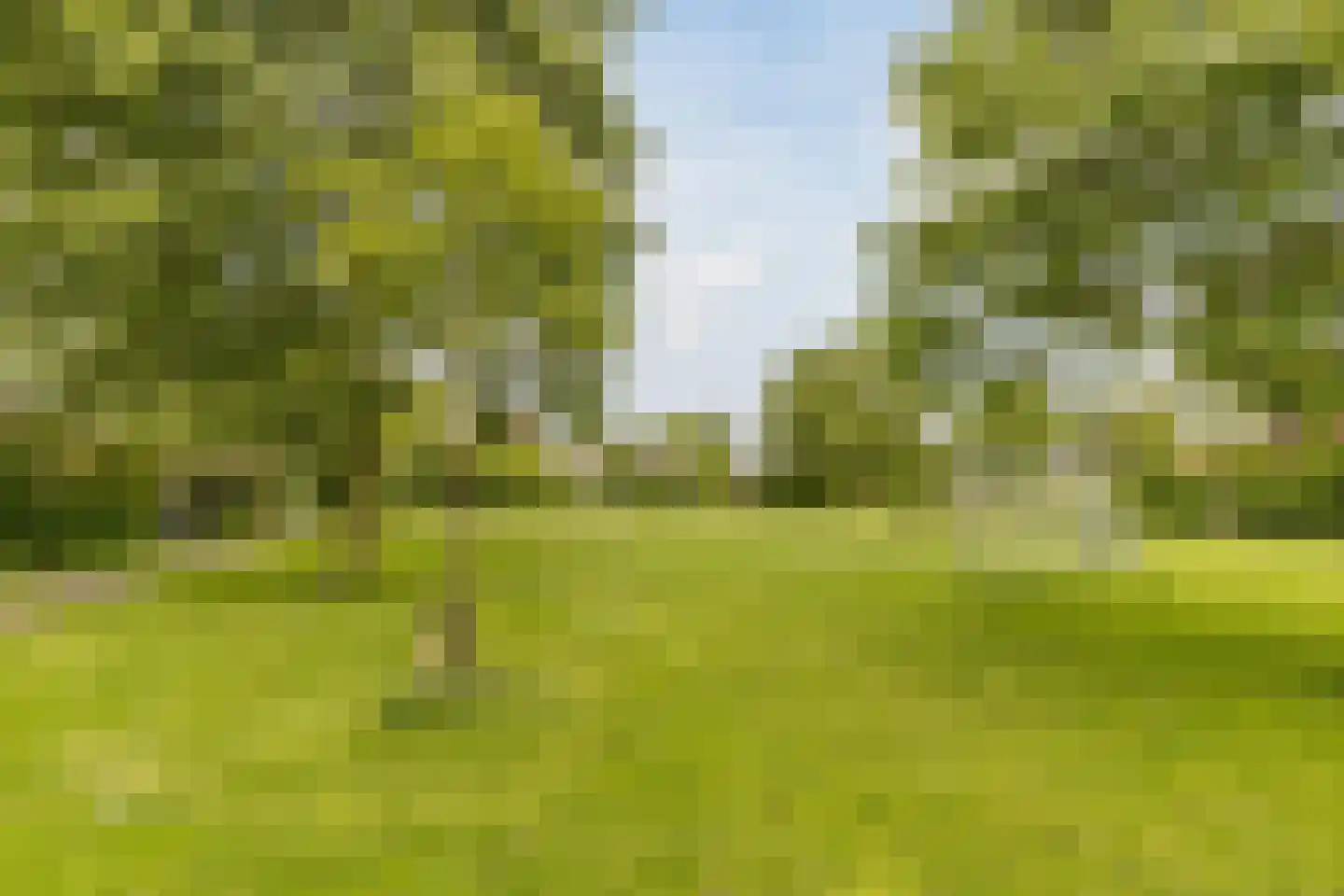 Walmolen 8 Harmelen thumbnail 45