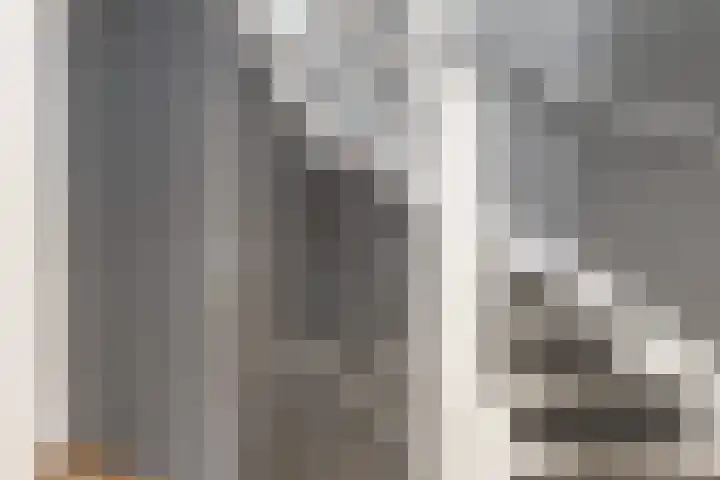 Walmolenerf 13 Gouda thumbnail 14