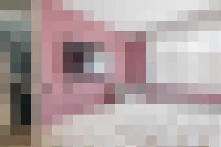 Walmolenerf 13 Gouda thumbnail 17