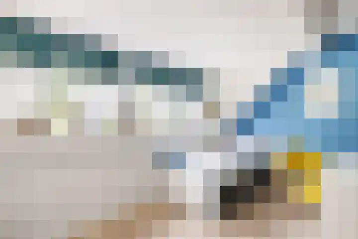 Walmolenerf 13 Gouda thumbnail 21