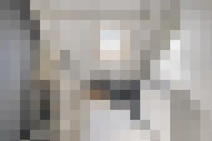 Walmolenerf 13 Gouda thumbnail 27