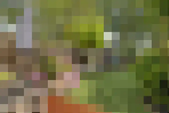 Walmolenerf 13 Gouda thumbnail 31