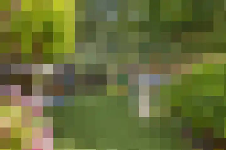 Walmolenerf 13 Gouda thumbnail 32