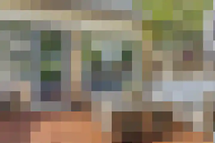 Walmolenerf 13 Gouda thumbnail 33