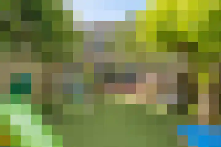 Walmolenerf 13 Gouda thumbnail 34