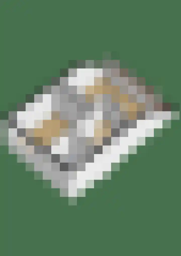 Walmolenerf 13 Gouda thumbnail 42