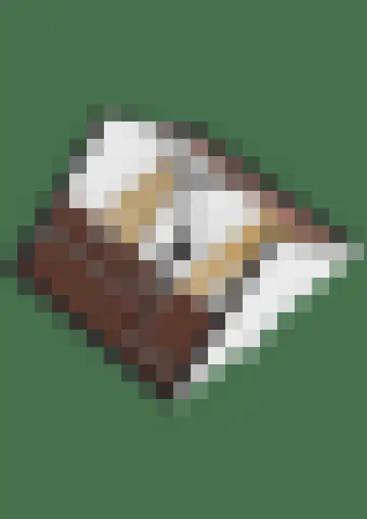 Walmolenerf 13 Gouda thumbnail 46