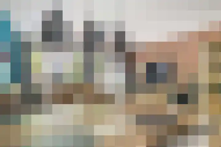 Walmolenerf 13 Gouda thumbnail 7