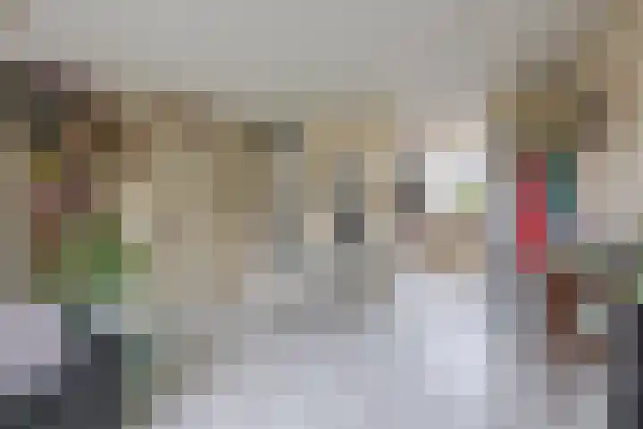 Walmolenerf 157 Gouda thumbnail 6