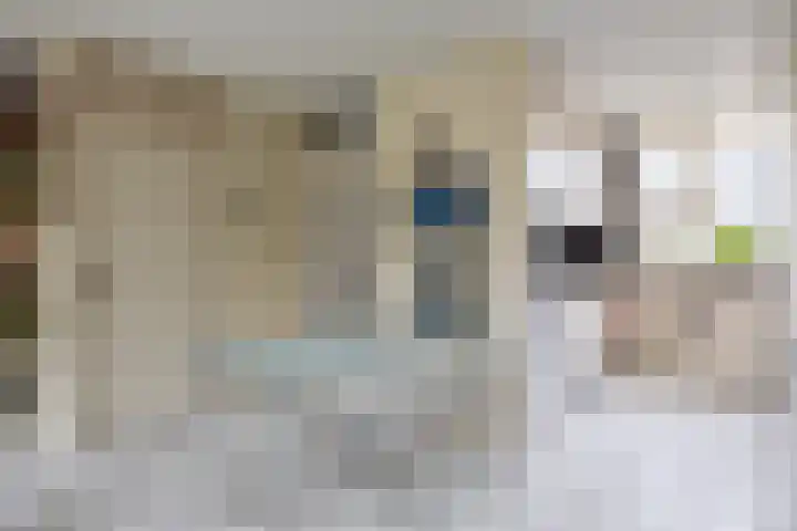 Walmolenerf 157 Gouda thumbnail 7