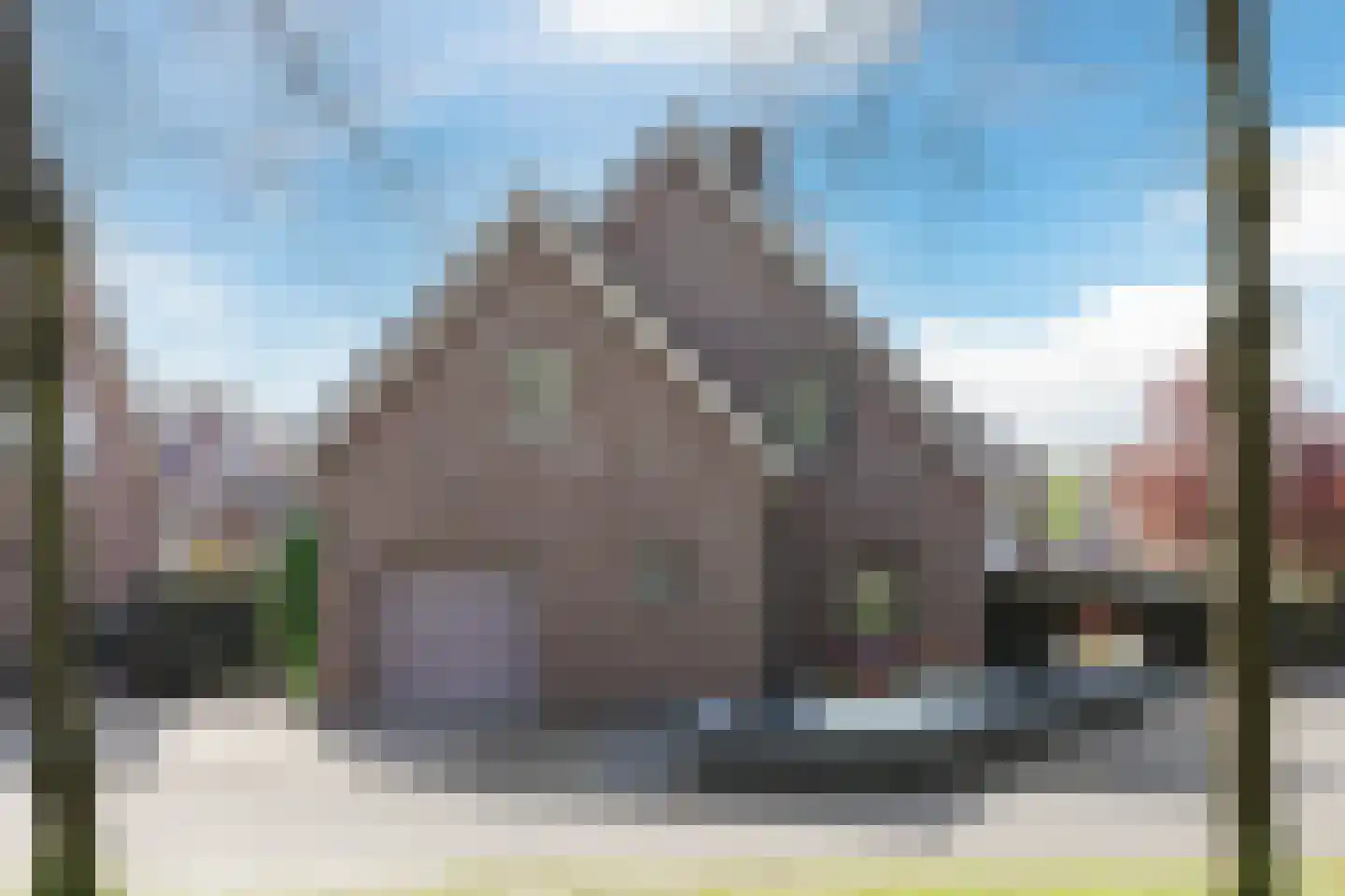 Walnoot 2 dans Halsteren