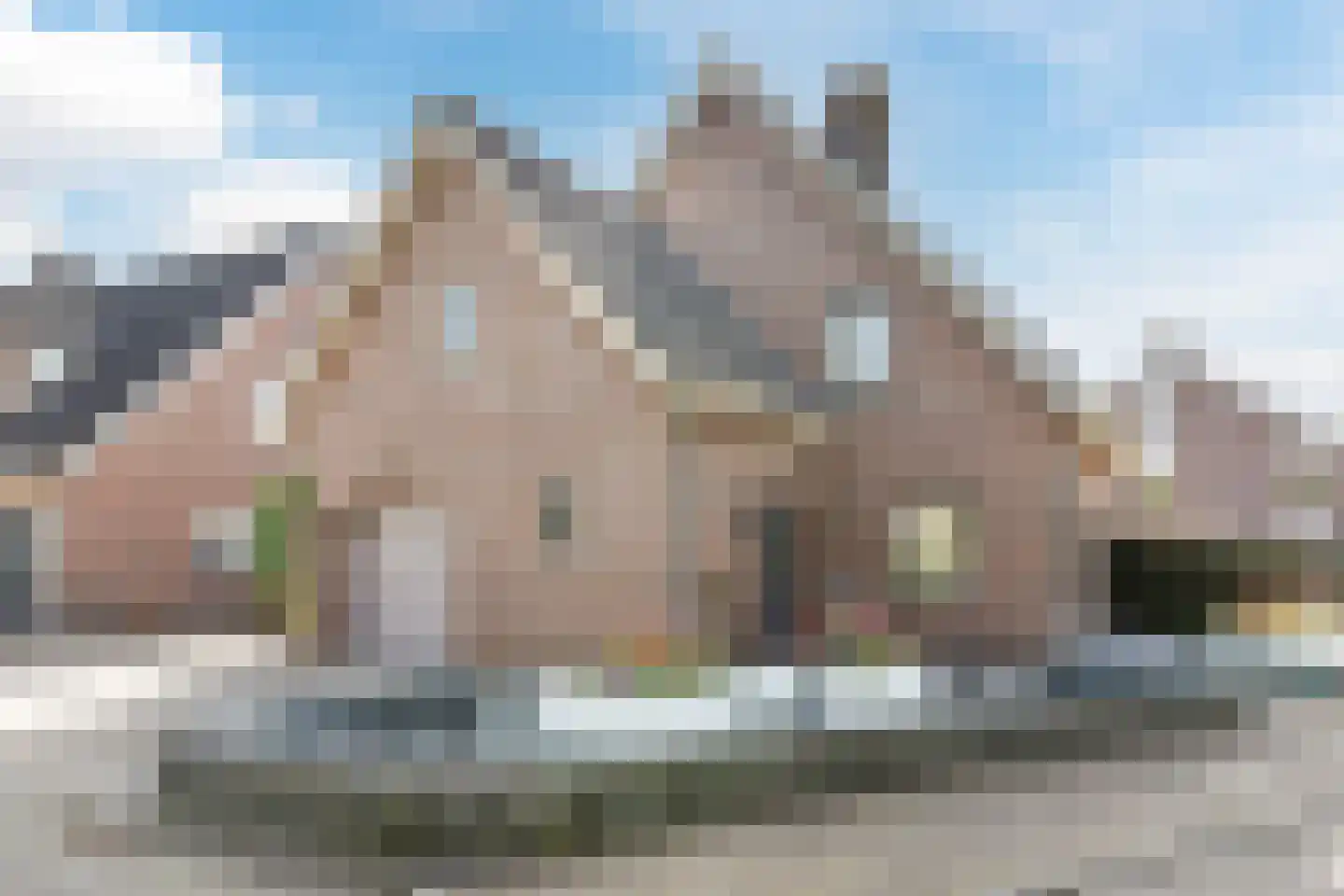 Walnoot 2 Halsteren thumbnail 11