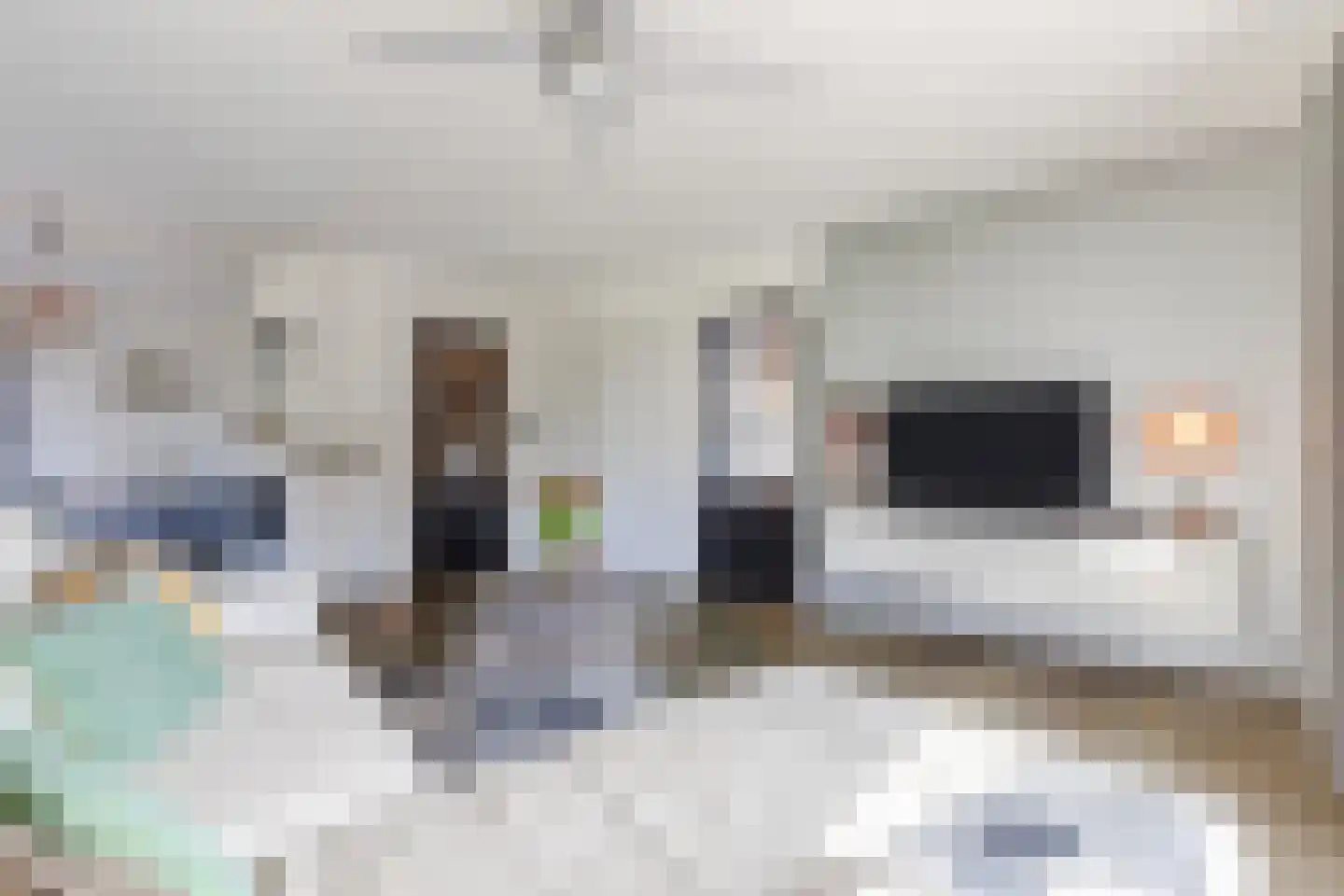 Walnoot 2 Halsteren thumbnail 18