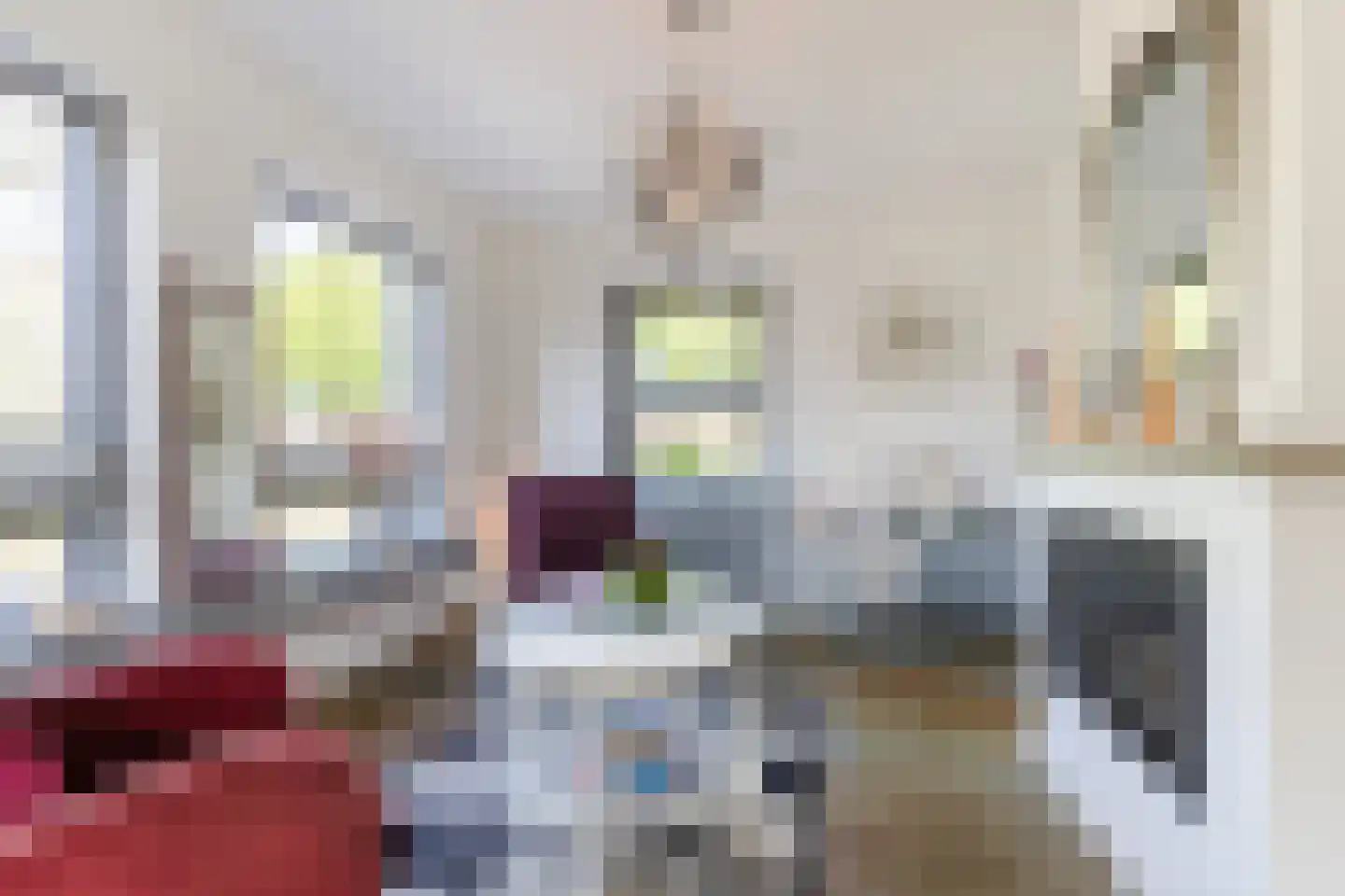 Walnoot 2 Halsteren thumbnail 20
