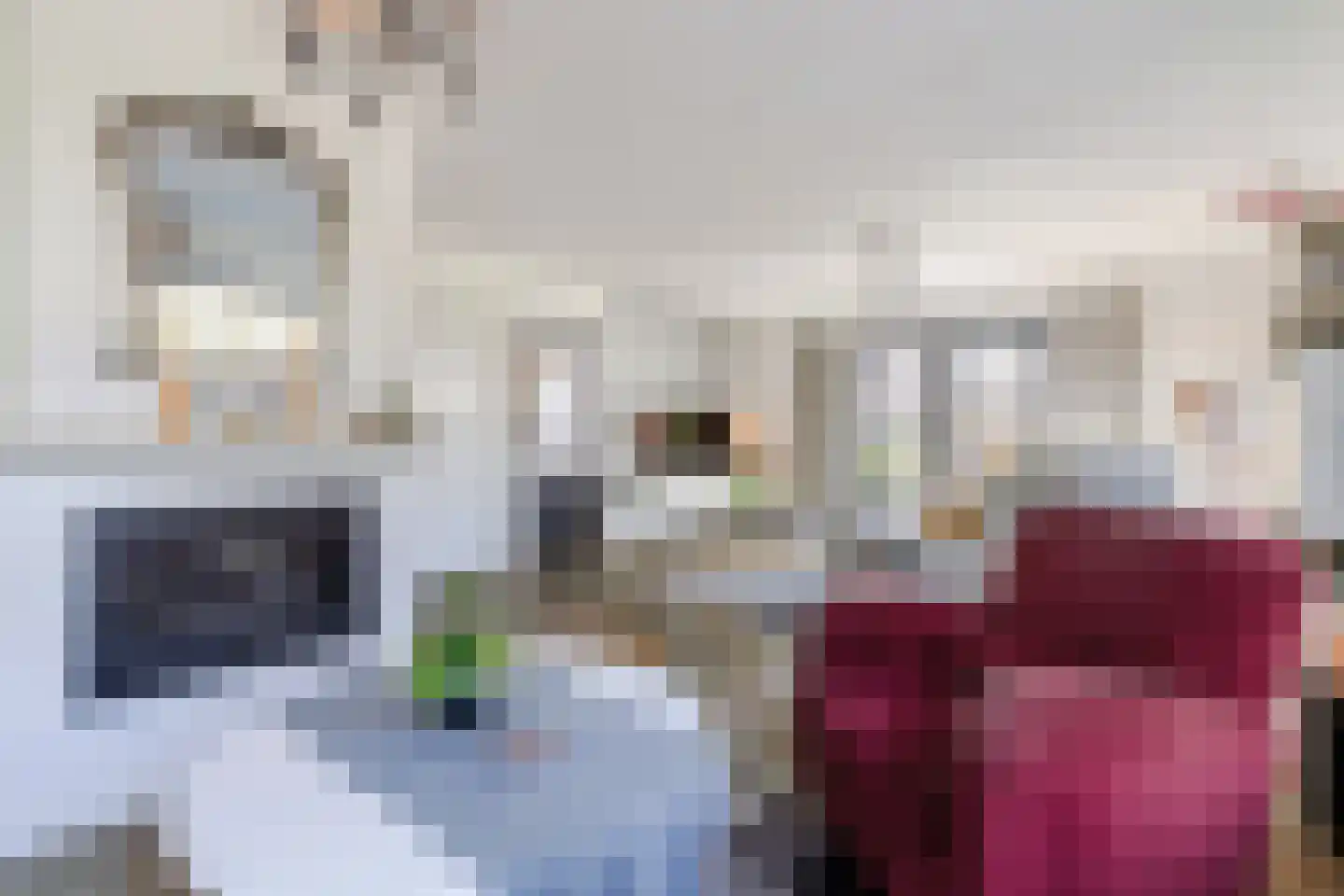 Walnoot 2 Halsteren thumbnail 22