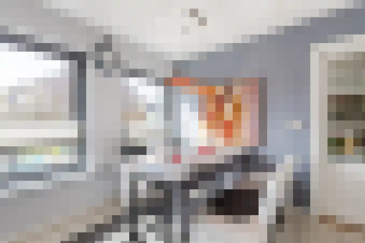 Walnoot 2 Halsteren thumbnail 24