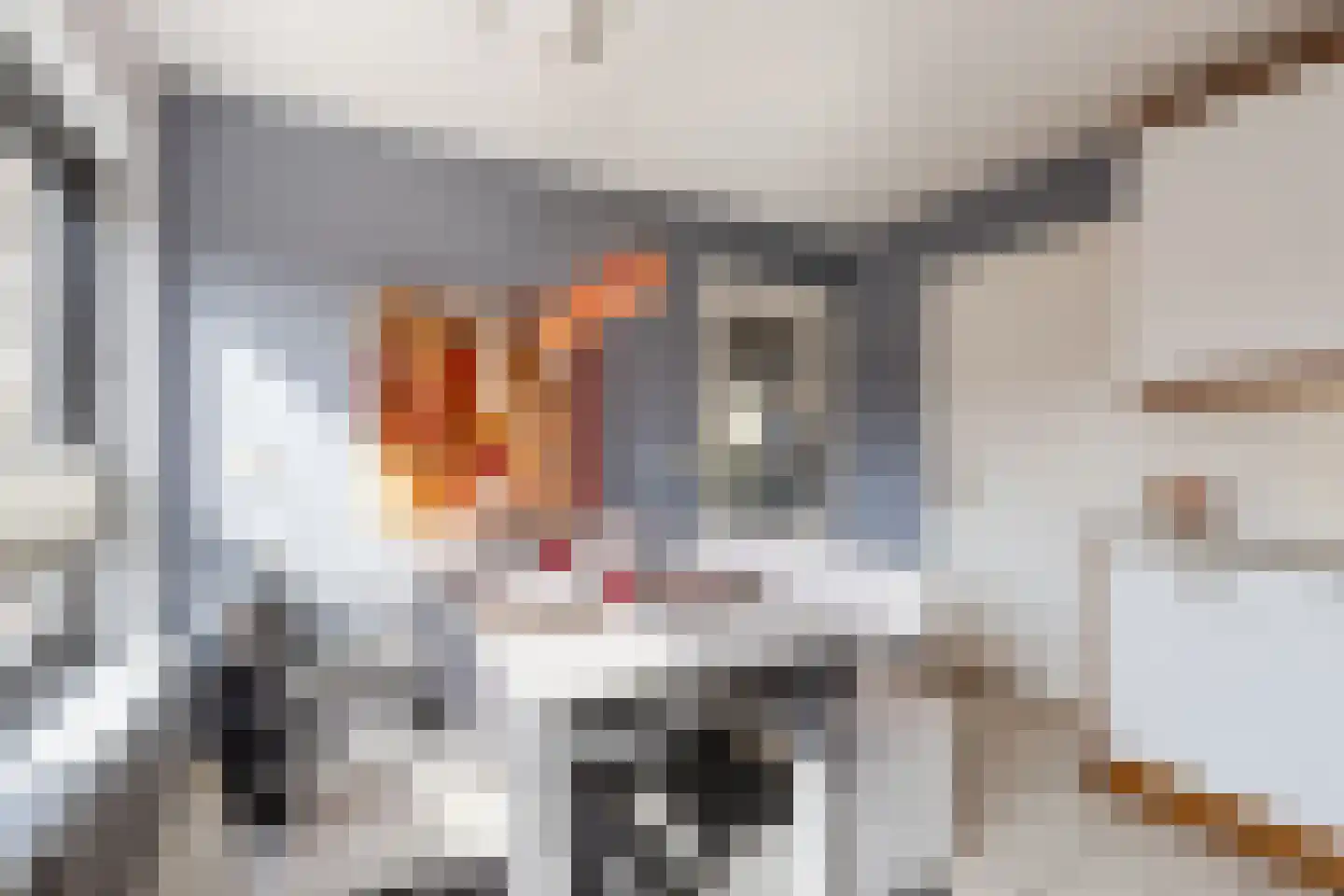 Walnoot 2 Halsteren thumbnail 25