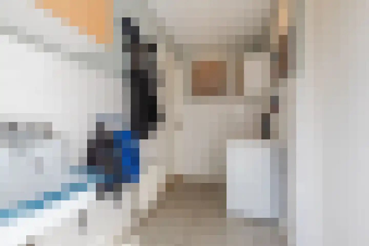 Walnoot 2 Halsteren thumbnail 27