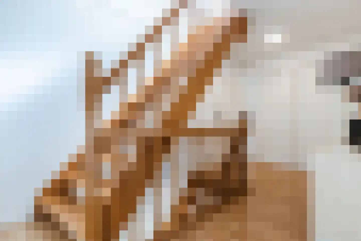 Walnoot 2 Halsteren thumbnail 32