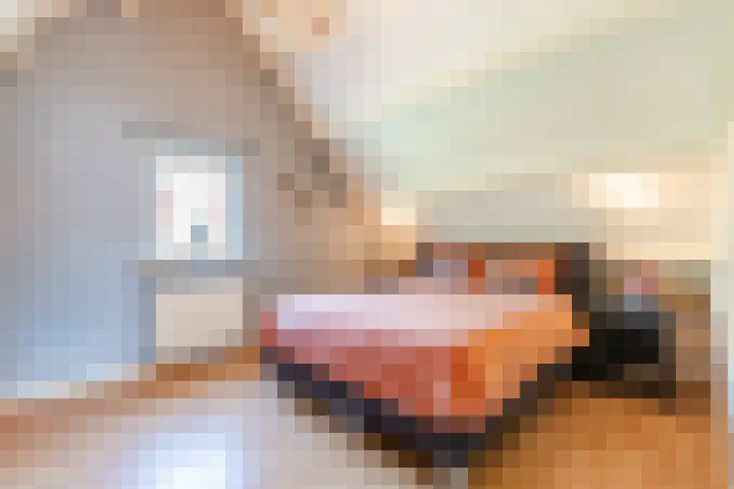 Walnoot 2 Halsteren thumbnail 4