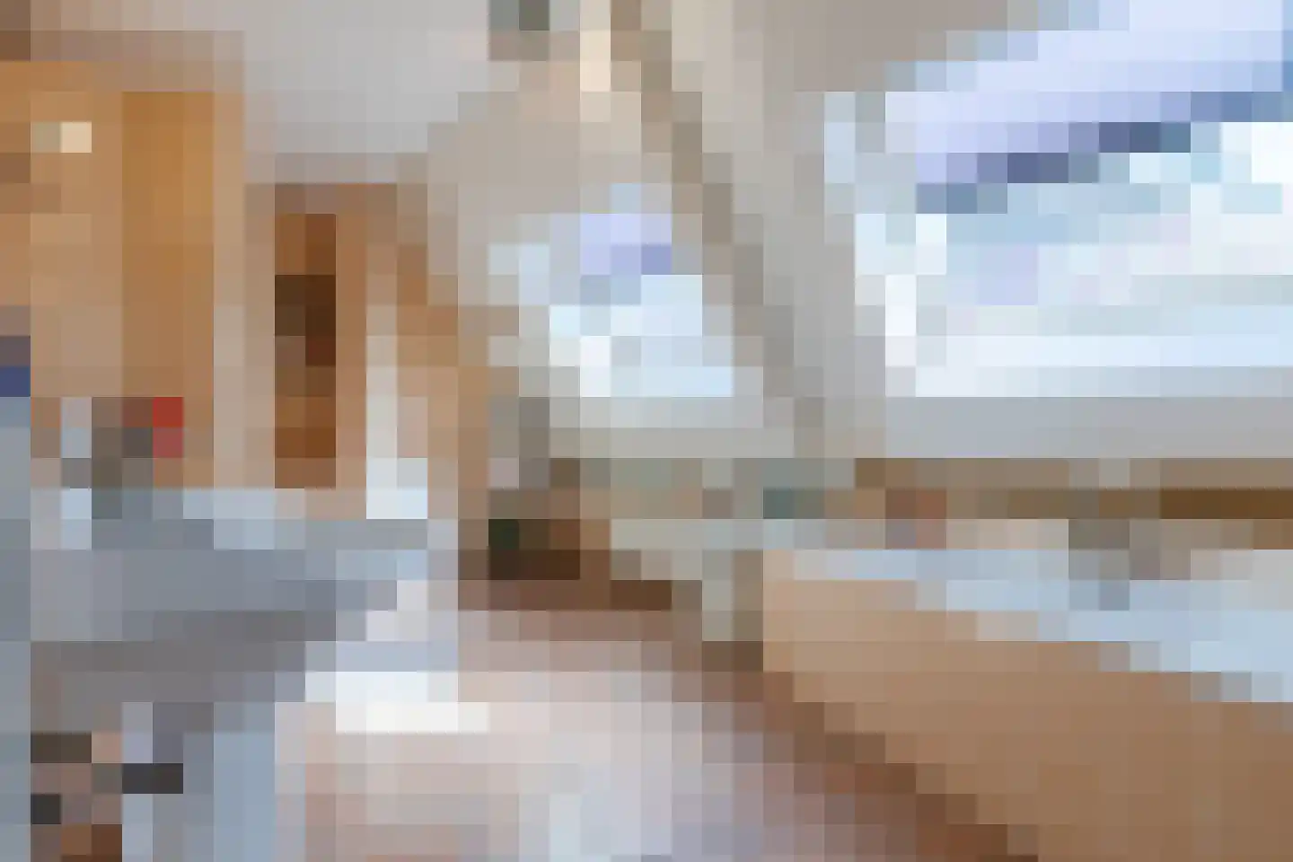 Walnoot 2 Halsteren thumbnail 40