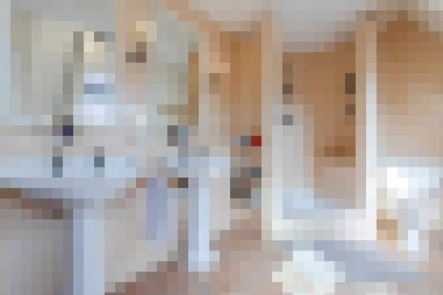 Walnoot 2 Halsteren thumbnail 41