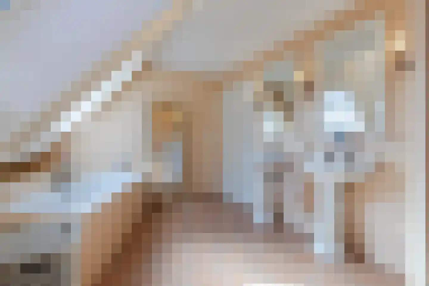 Walnoot 2 Halsteren thumbnail 42