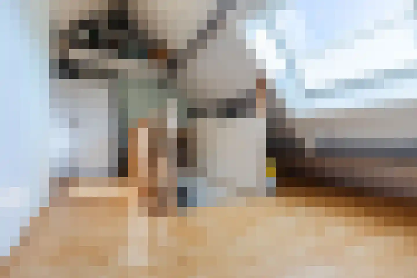 Walnoot 2 Halsteren thumbnail 46