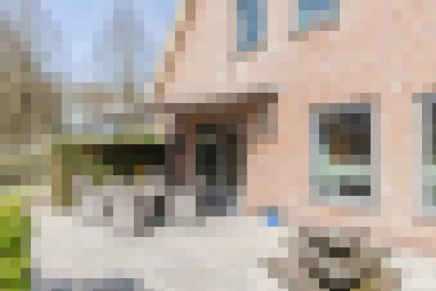Walnoot 2 Halsteren thumbnail 51