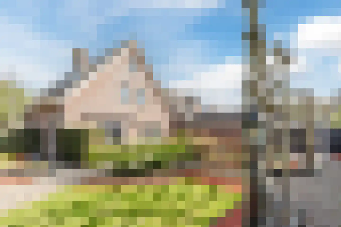 Walnoot 2 Halsteren thumbnail 55