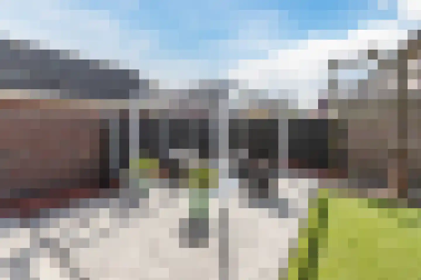 Walnoot 2 Halsteren thumbnail 57