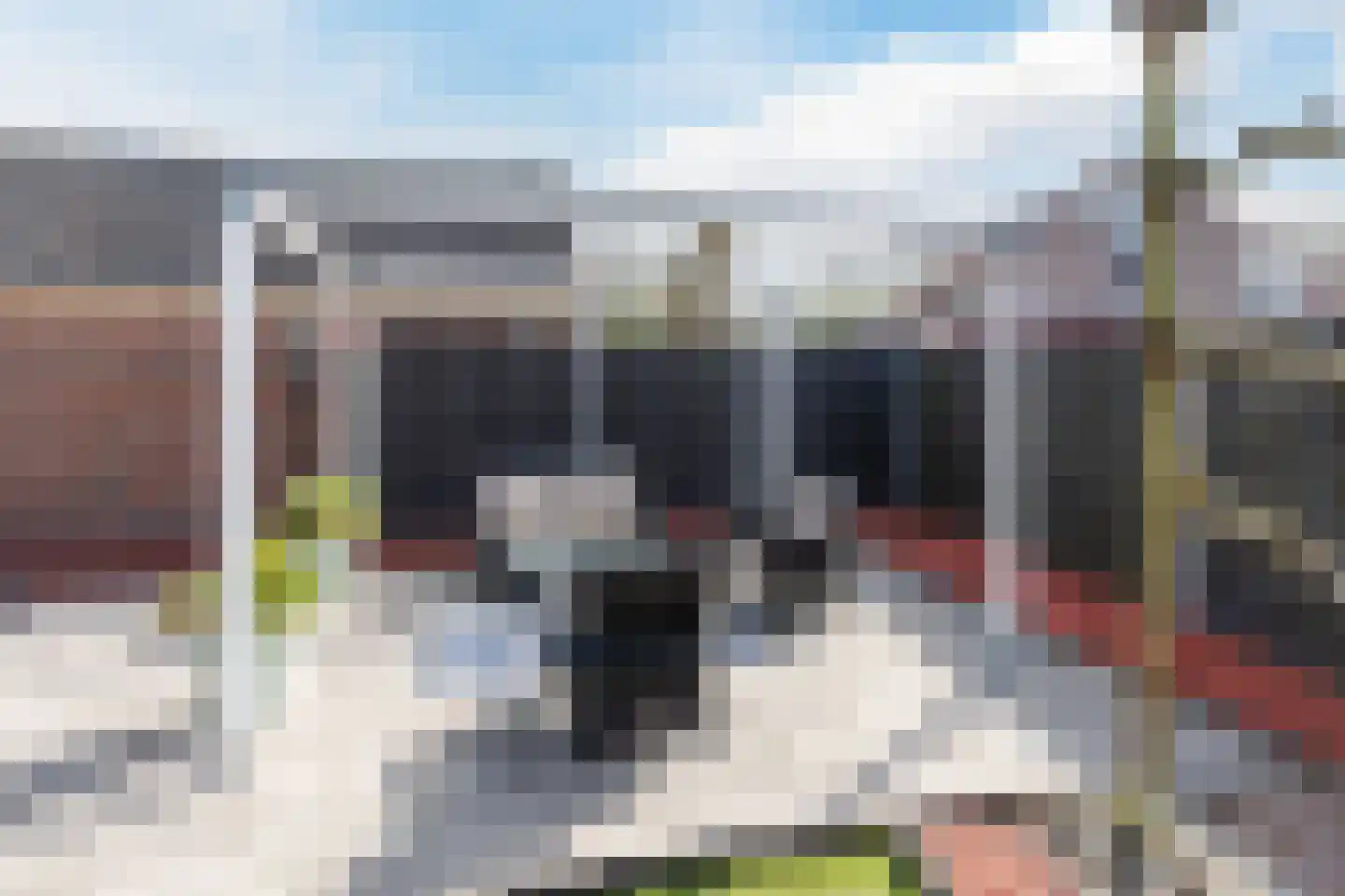 Walnoot 2 Halsteren thumbnail 58