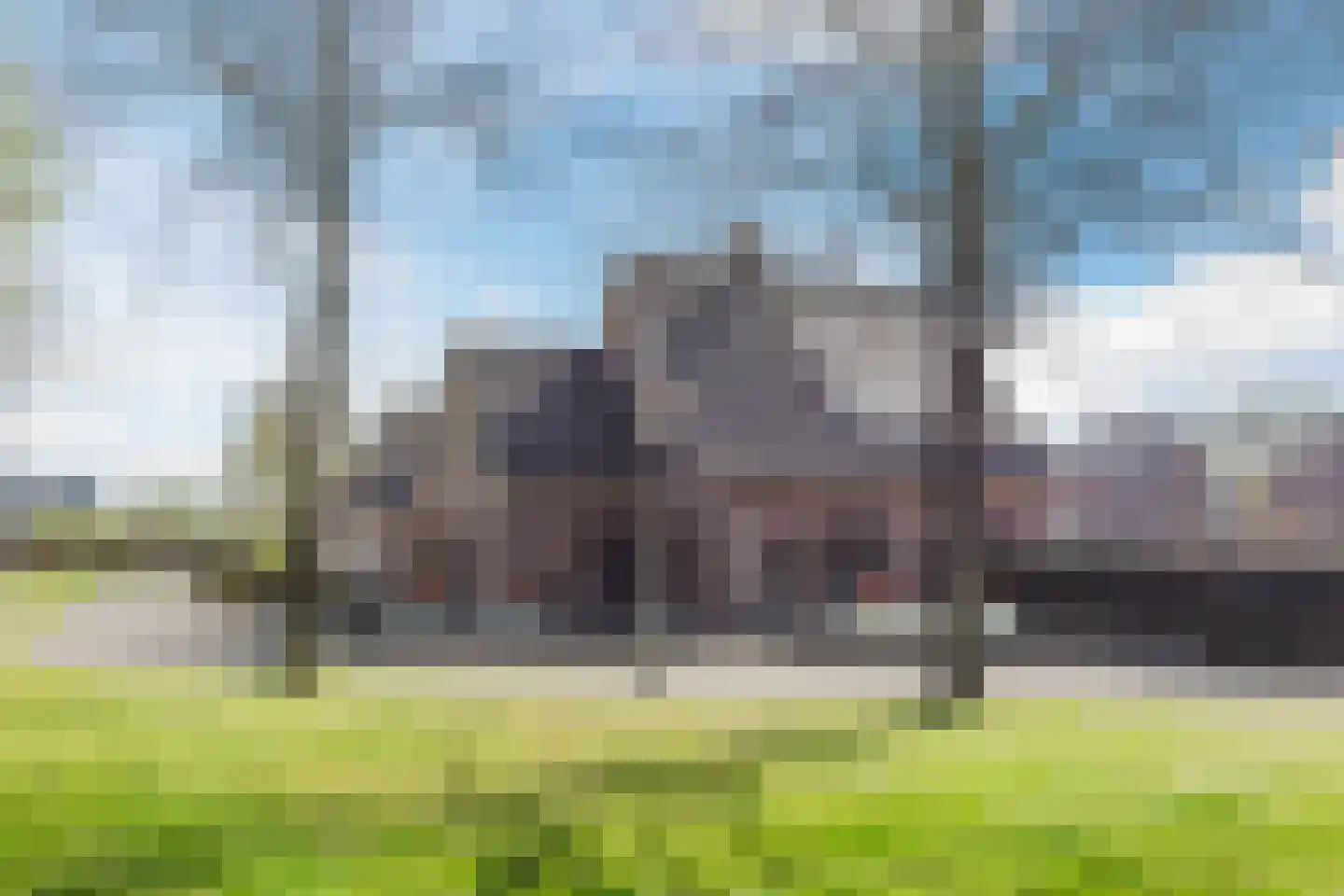 Walnoot 2 Halsteren thumbnail 63