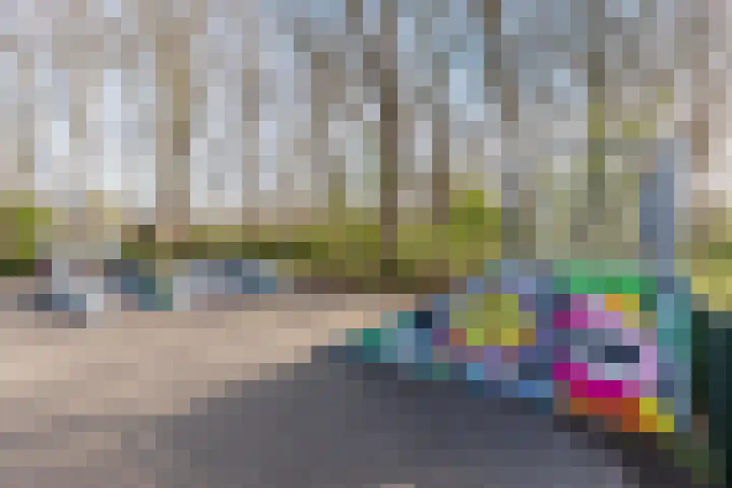 Walnoot 2 Halsteren thumbnail 65
