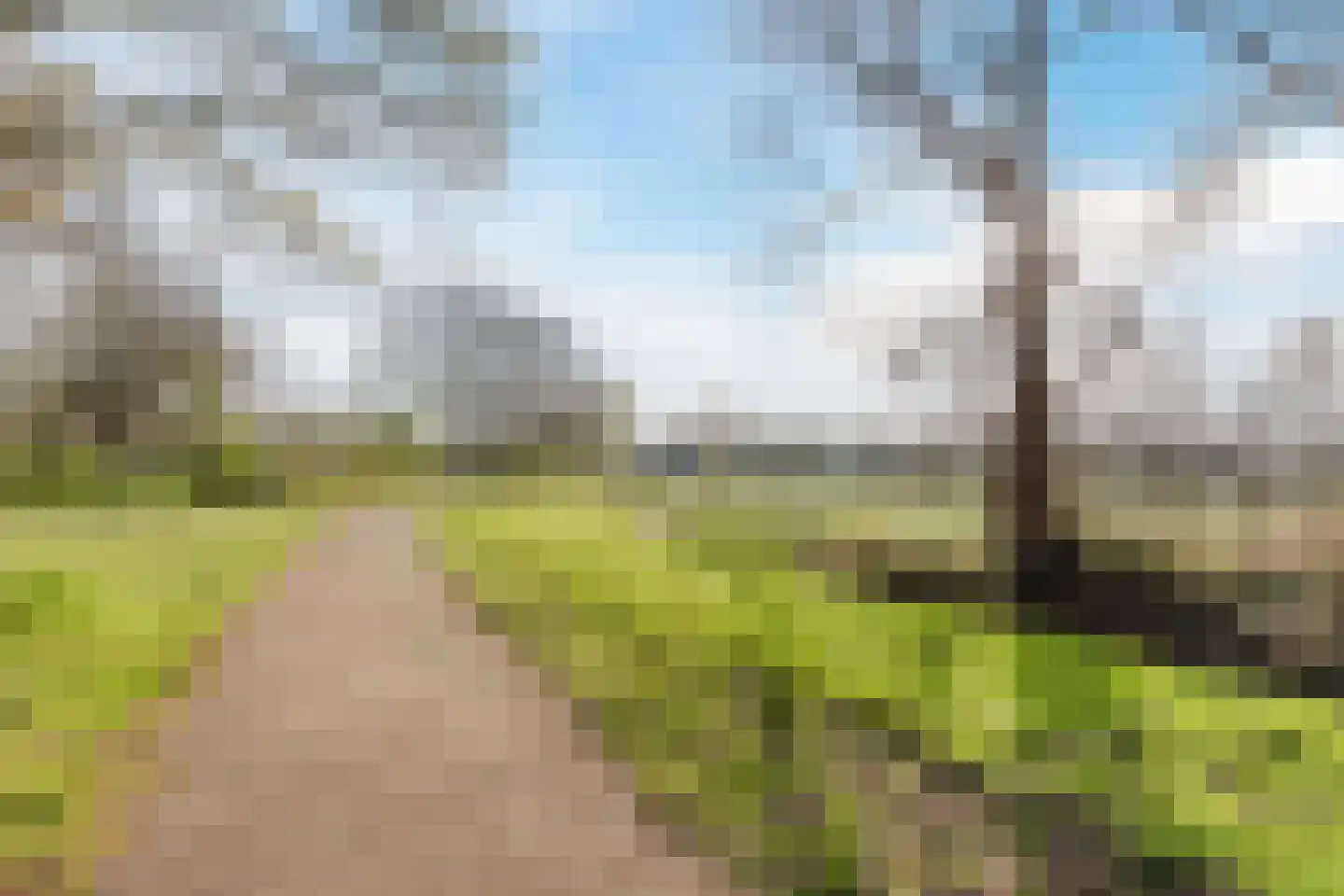 Walnoot 2 Halsteren thumbnail 66
