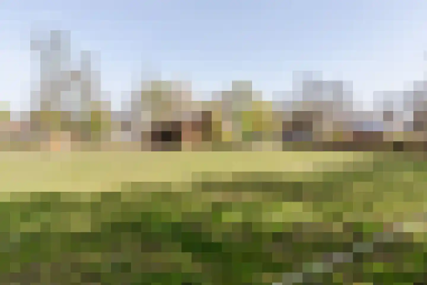 Walnoot 2 Halsteren thumbnail 68