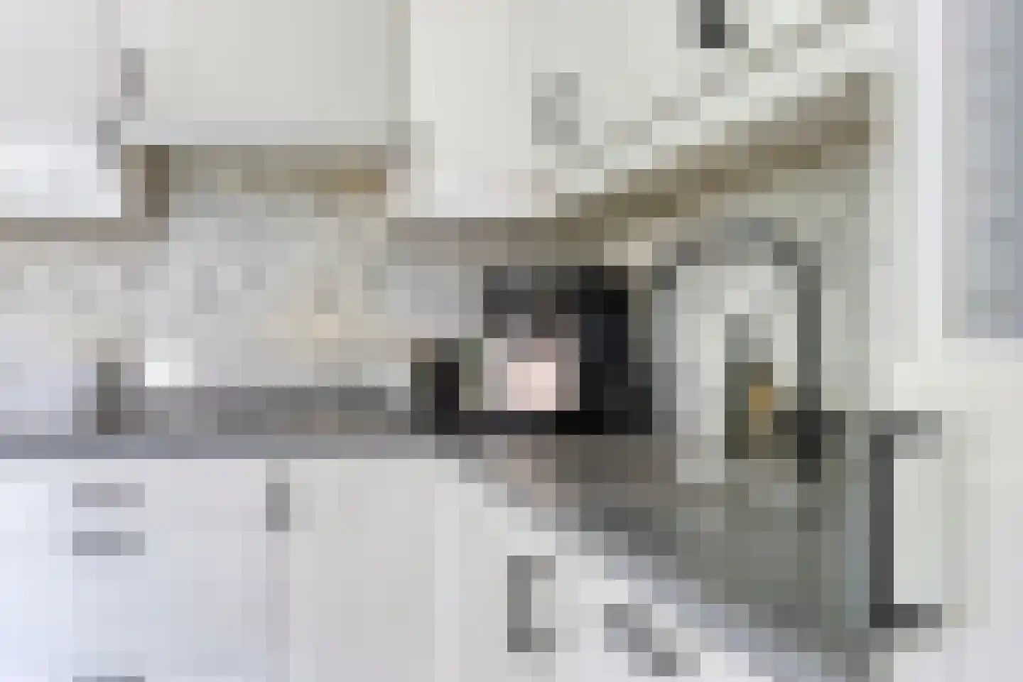 Walnoot 4 Langenboom thumbnail 13