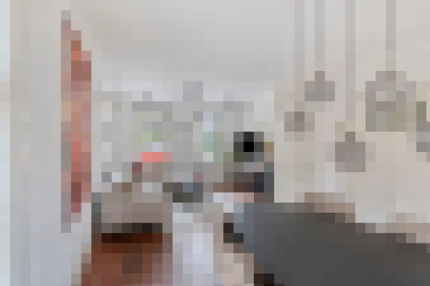 Walnoot 4 Langenboom thumbnail 15