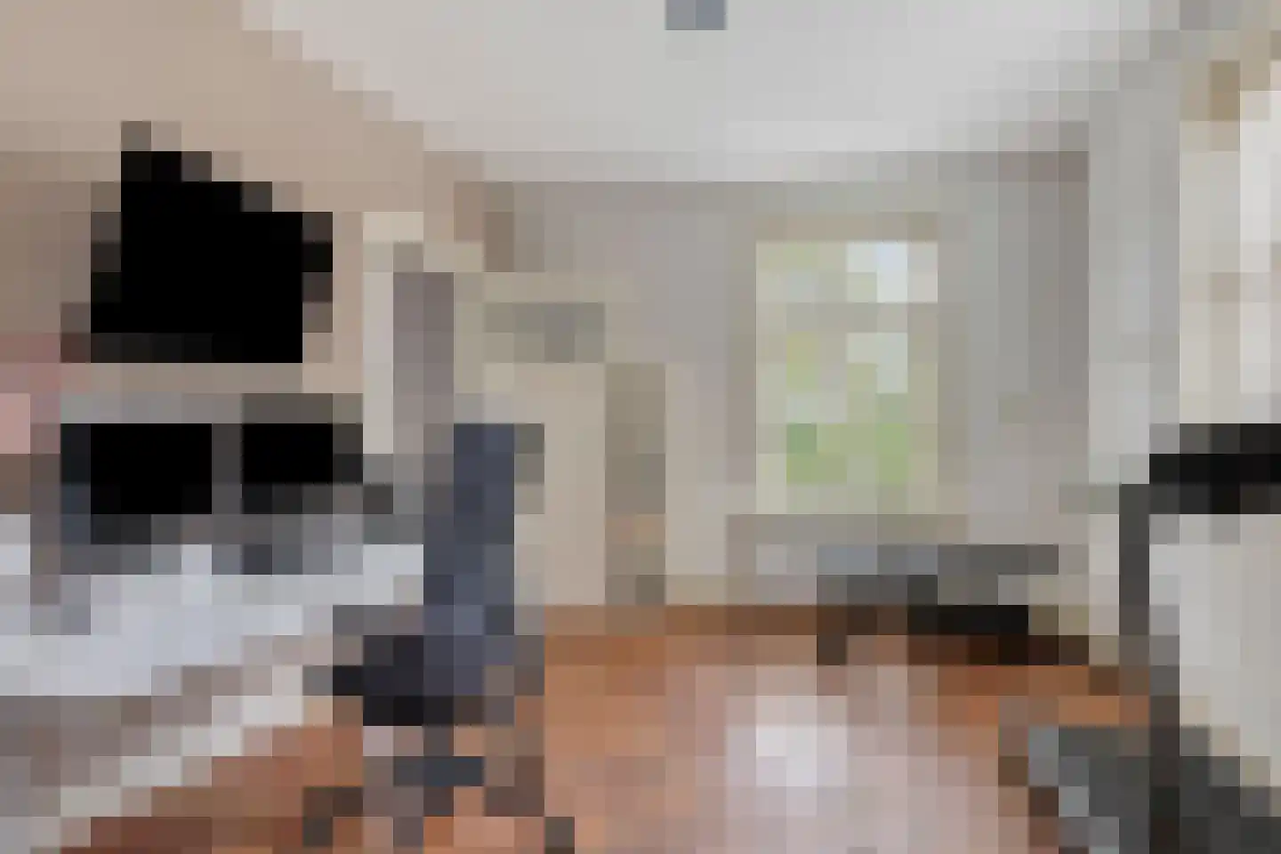 Walnoot 4 Langenboom thumbnail 19