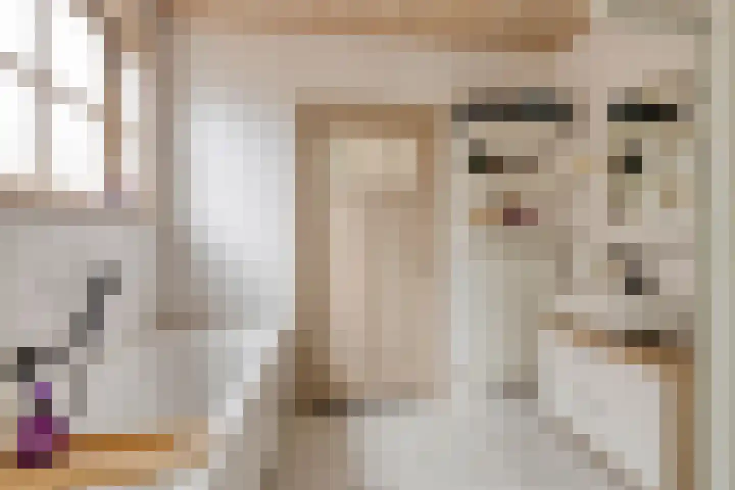 Walnoot 4 Langenboom thumbnail 22