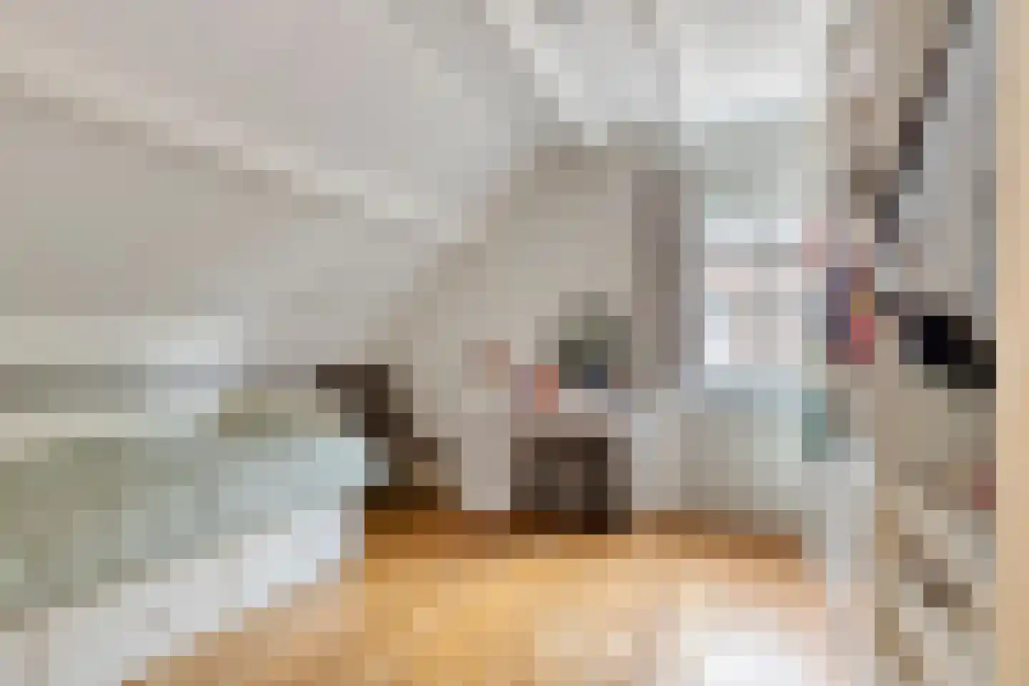 Walnoot 4 Langenboom thumbnail 31