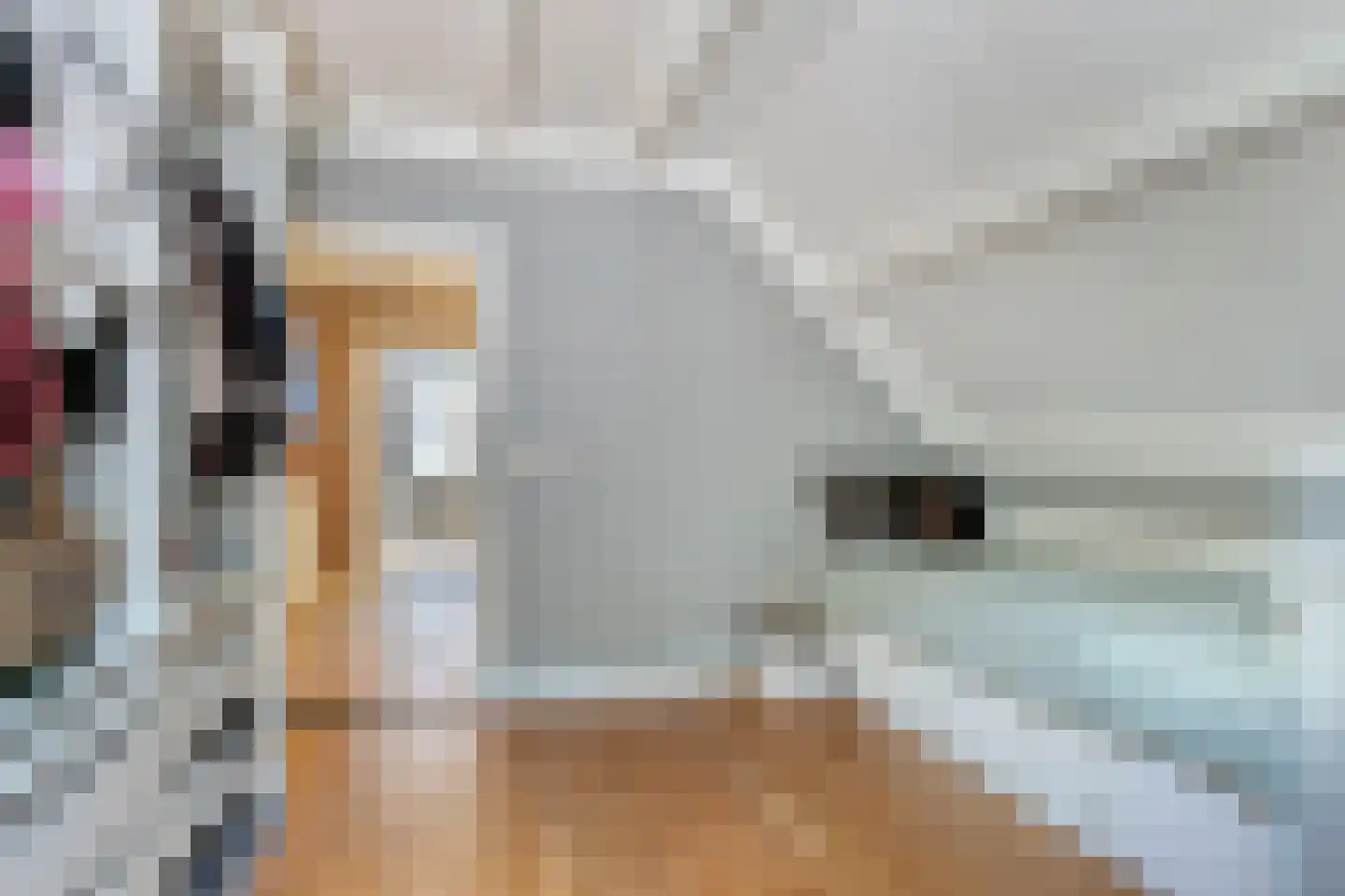 Walnoot 4 Langenboom thumbnail 32