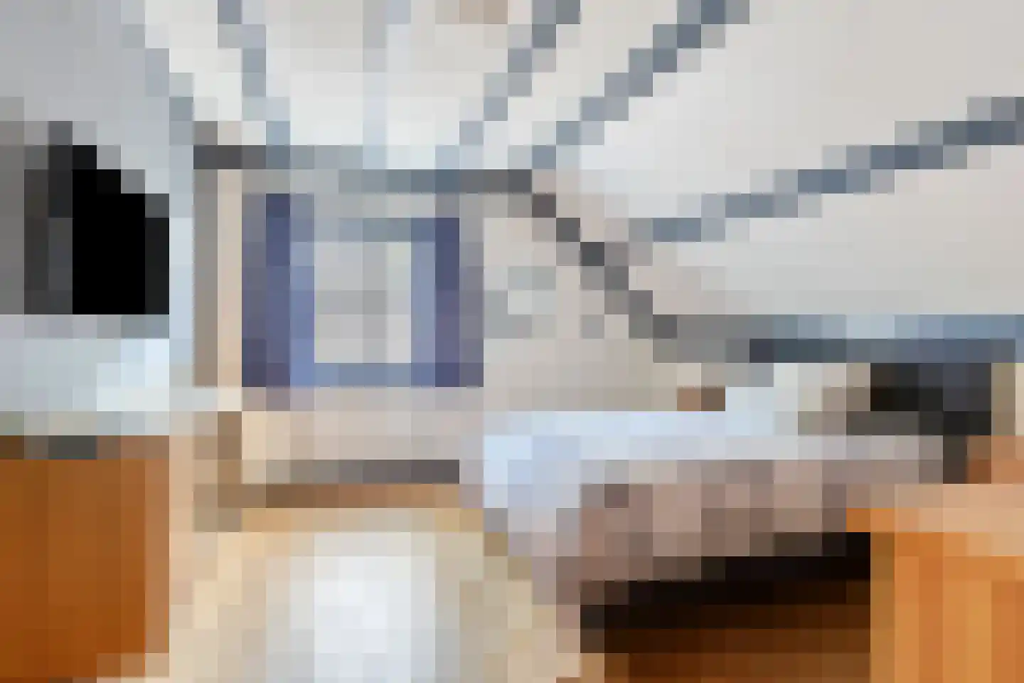 Walnoot 4 Langenboom thumbnail 33