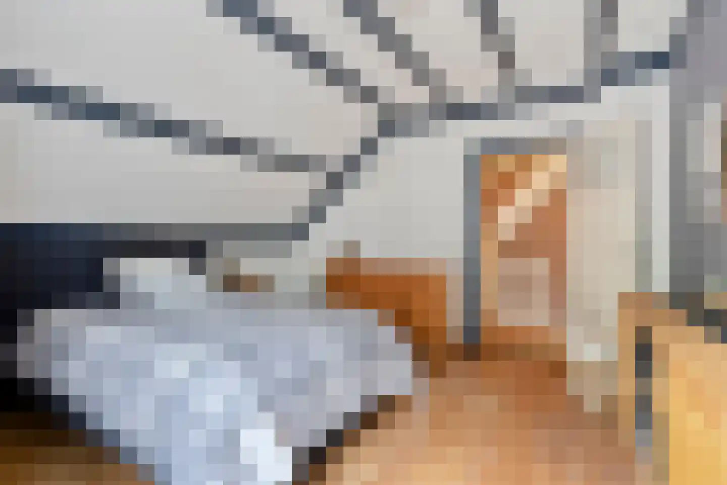 Walnoot 4 Langenboom thumbnail 34